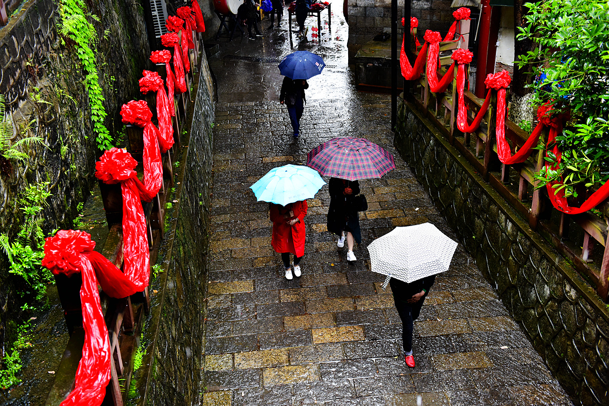 雨中行