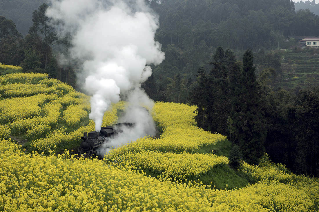 山沟里的蒸汽小火车