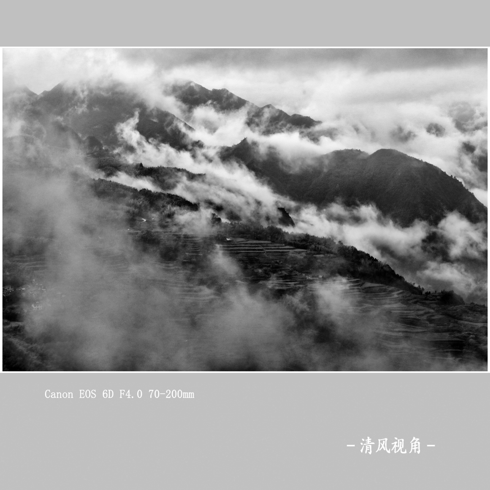 云雾山中_8983