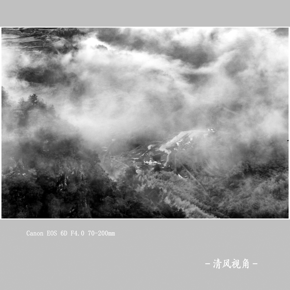 云雾山中_8984