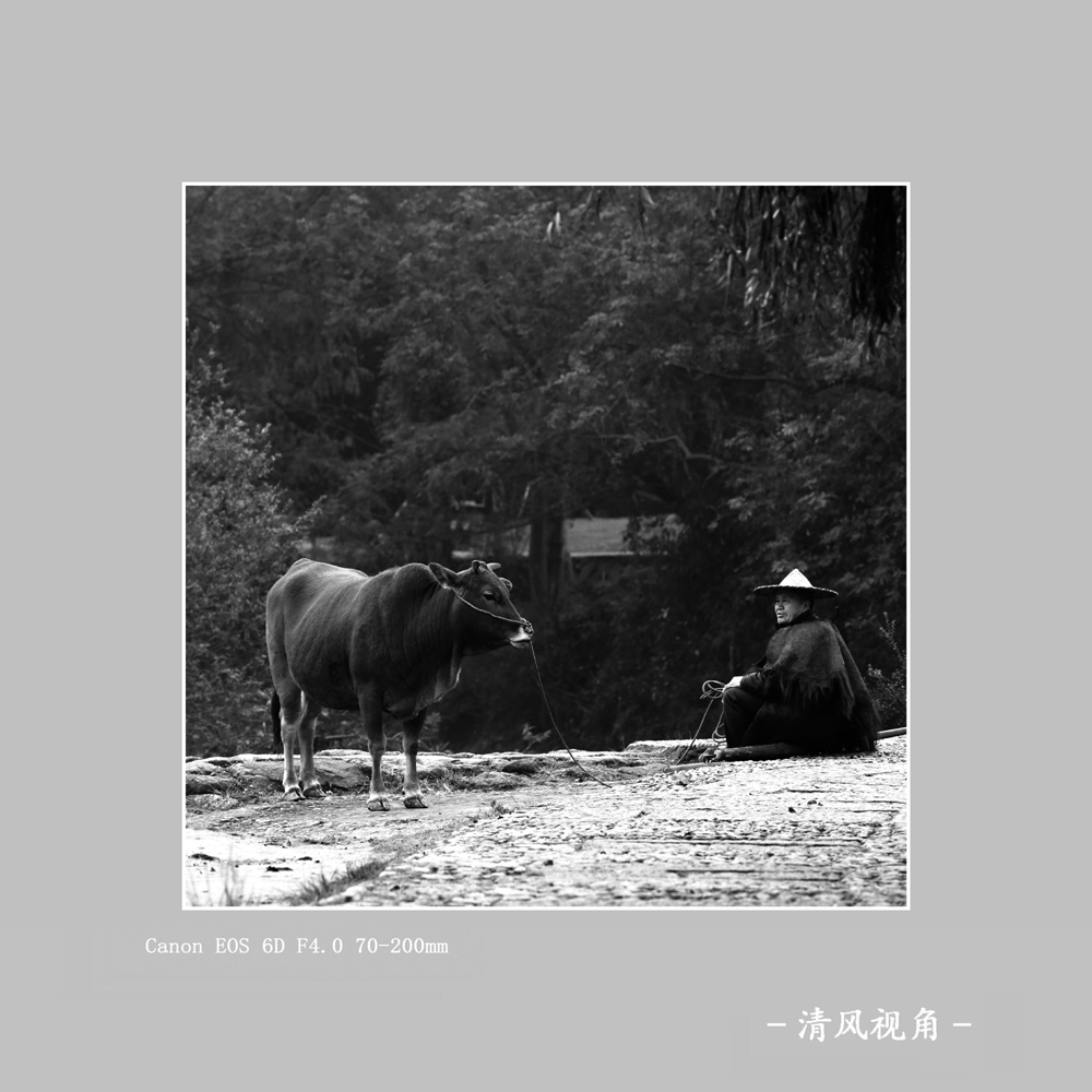 无题_0041
