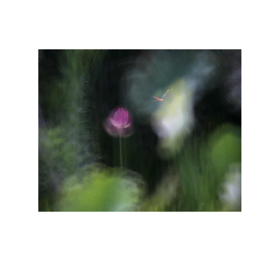 幻