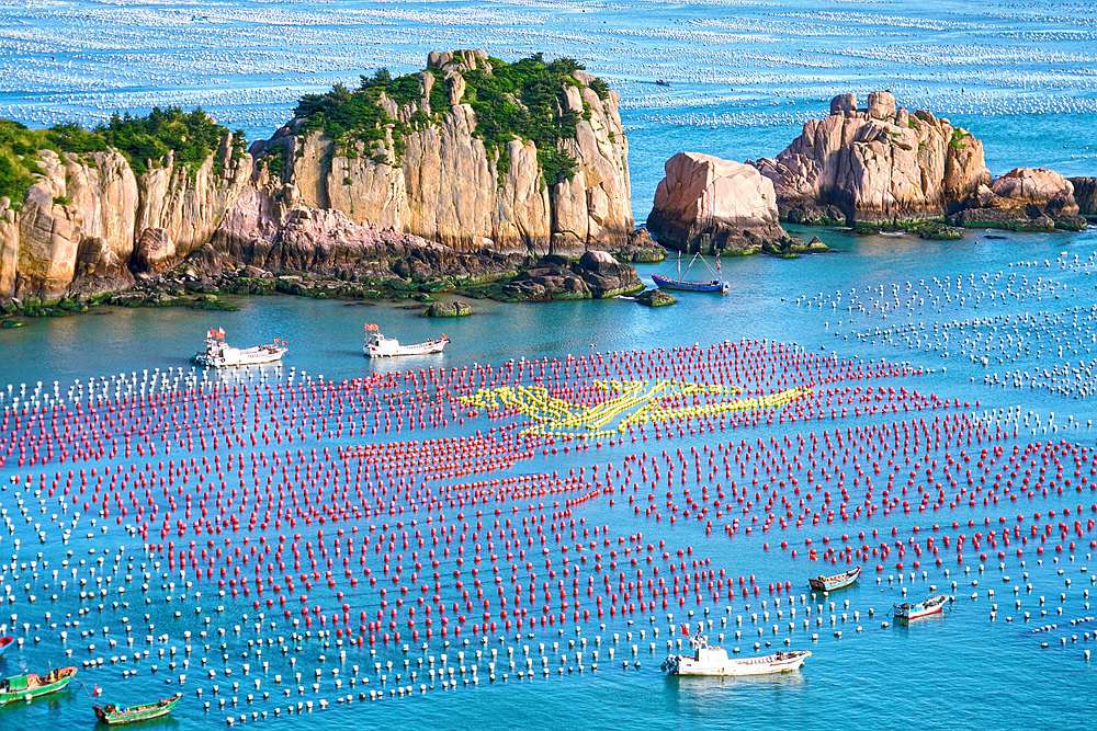 海上蓬莱
