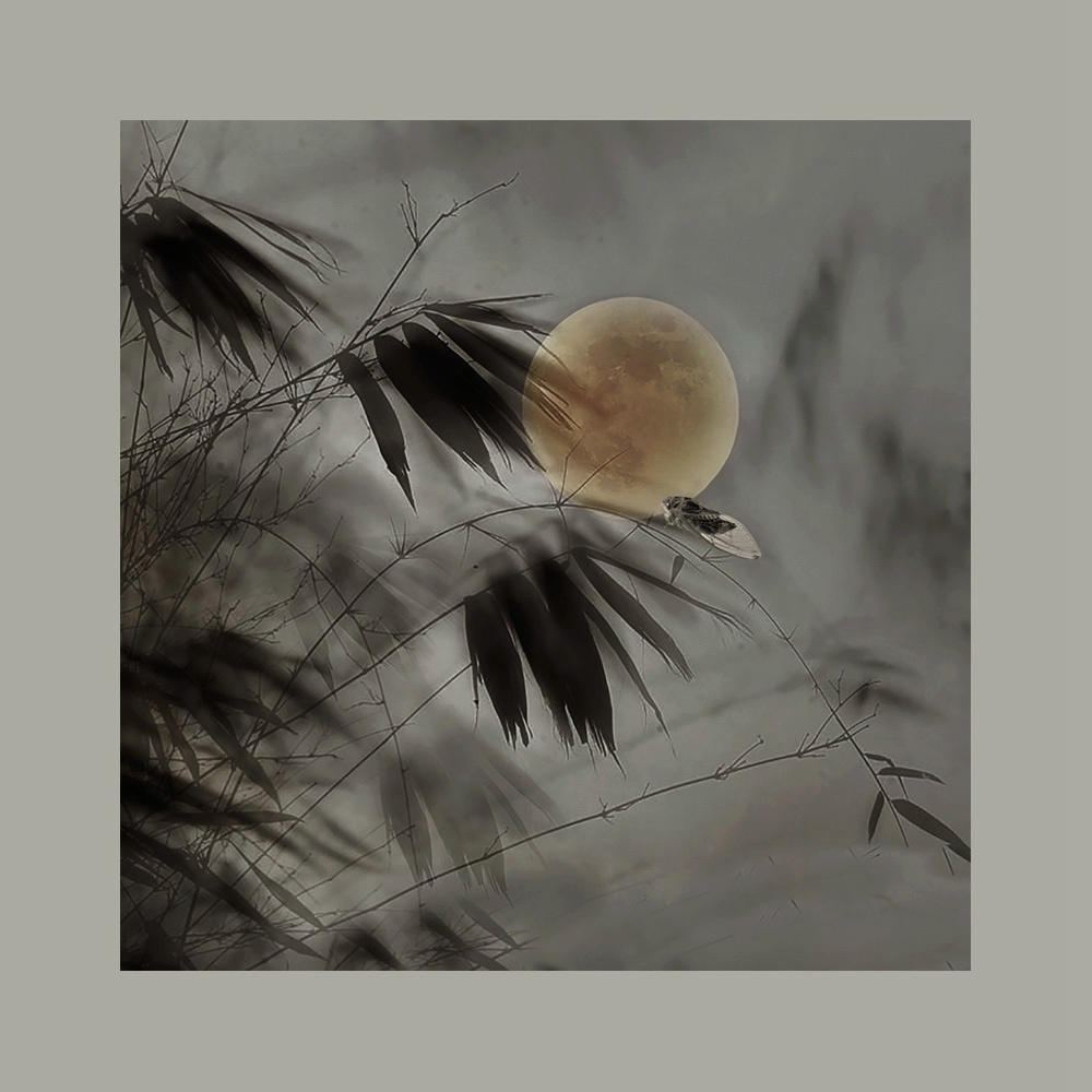夏夜