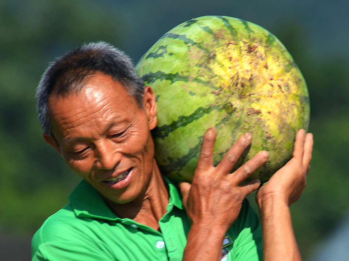 甜蜜的微笑