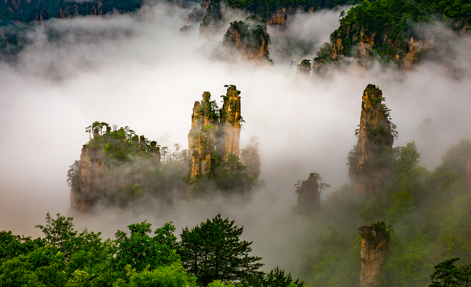 天子山