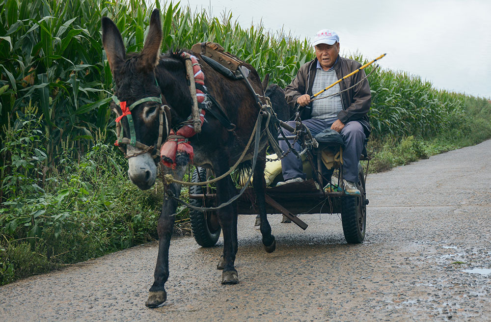 赶集路上