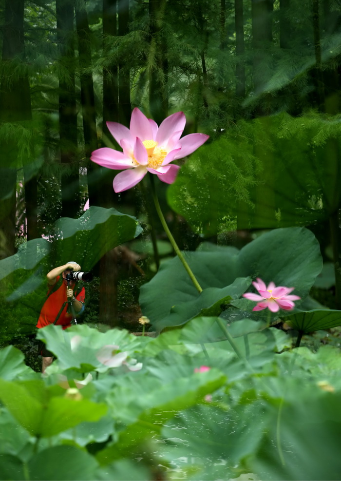 果子沟
