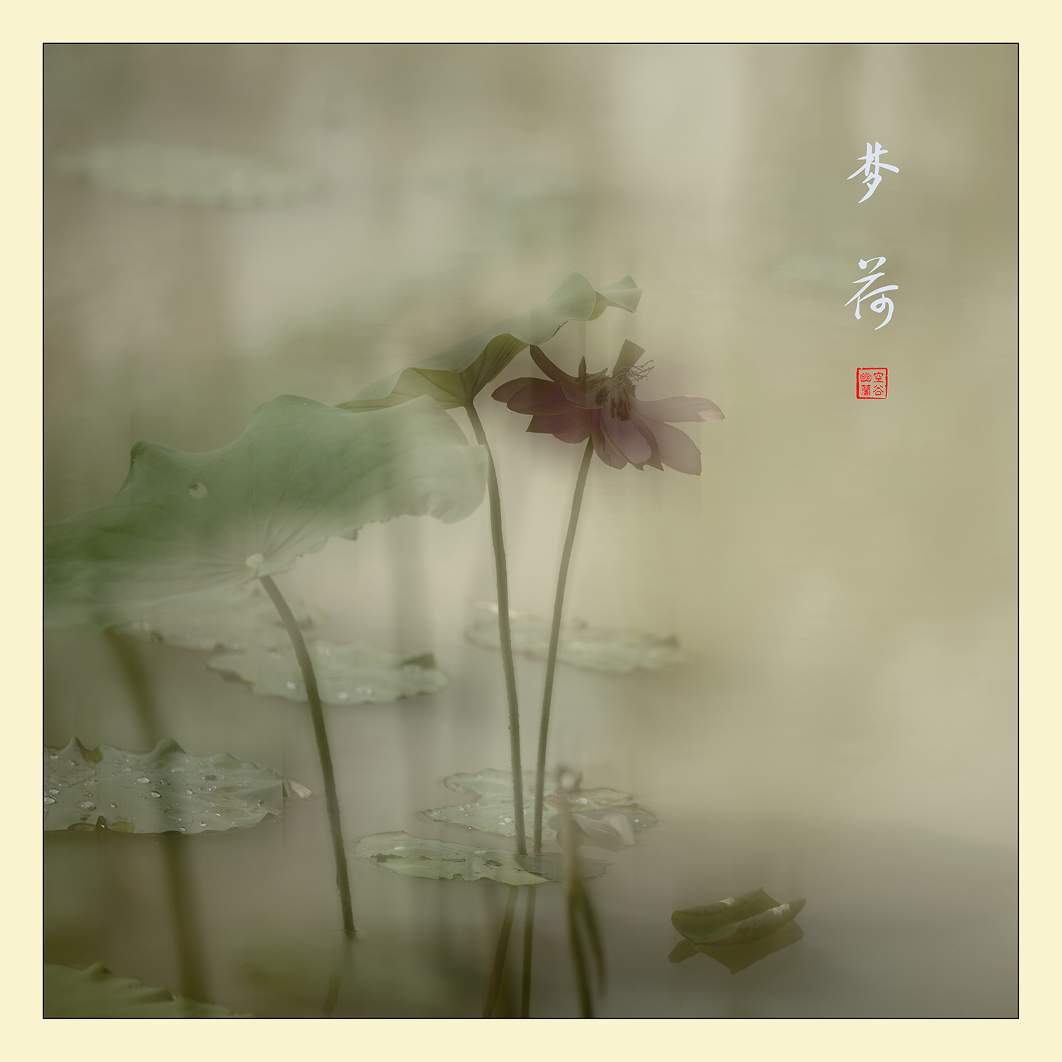 梦荷
