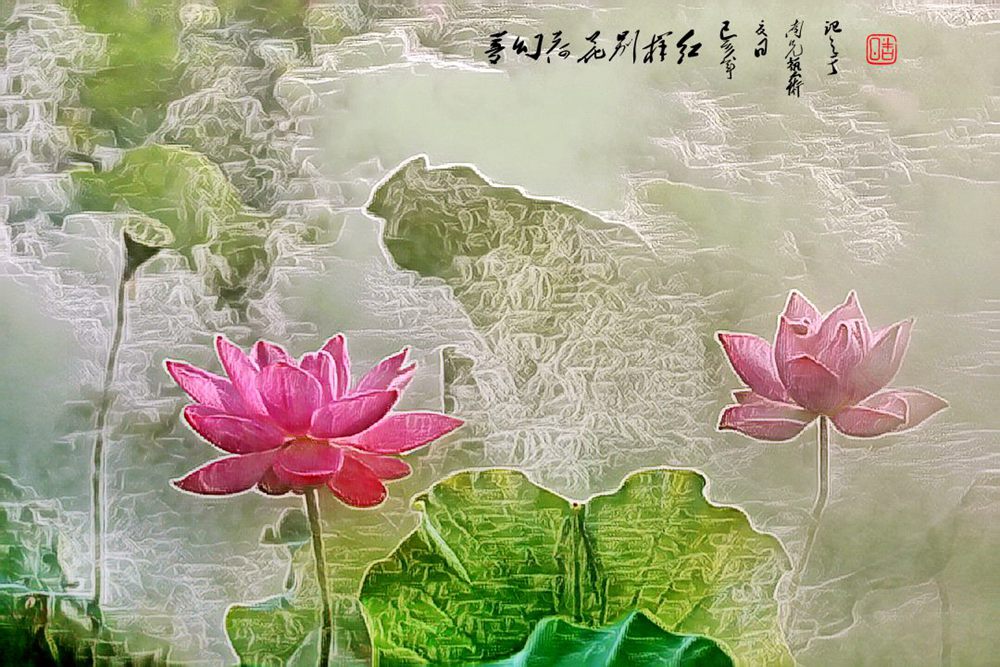 梦幻荷花别样红