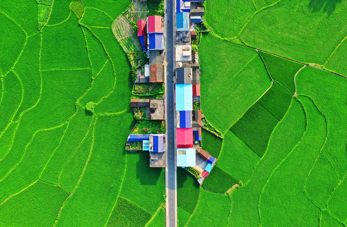 多彩家园