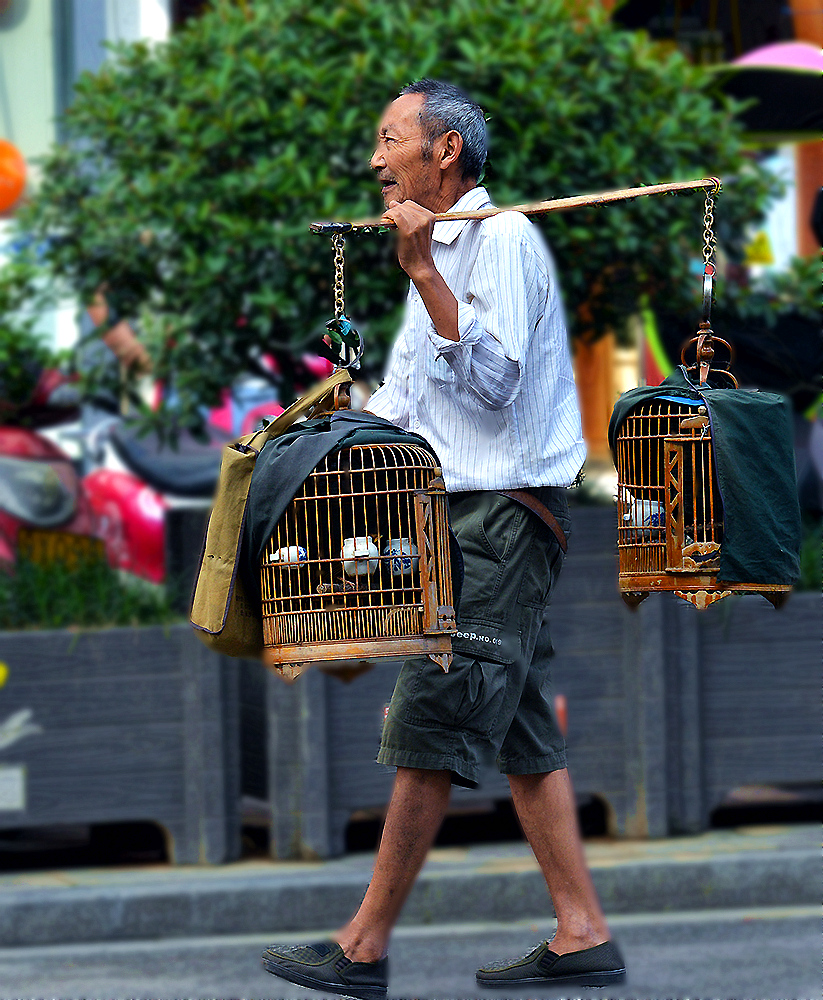 惬    意