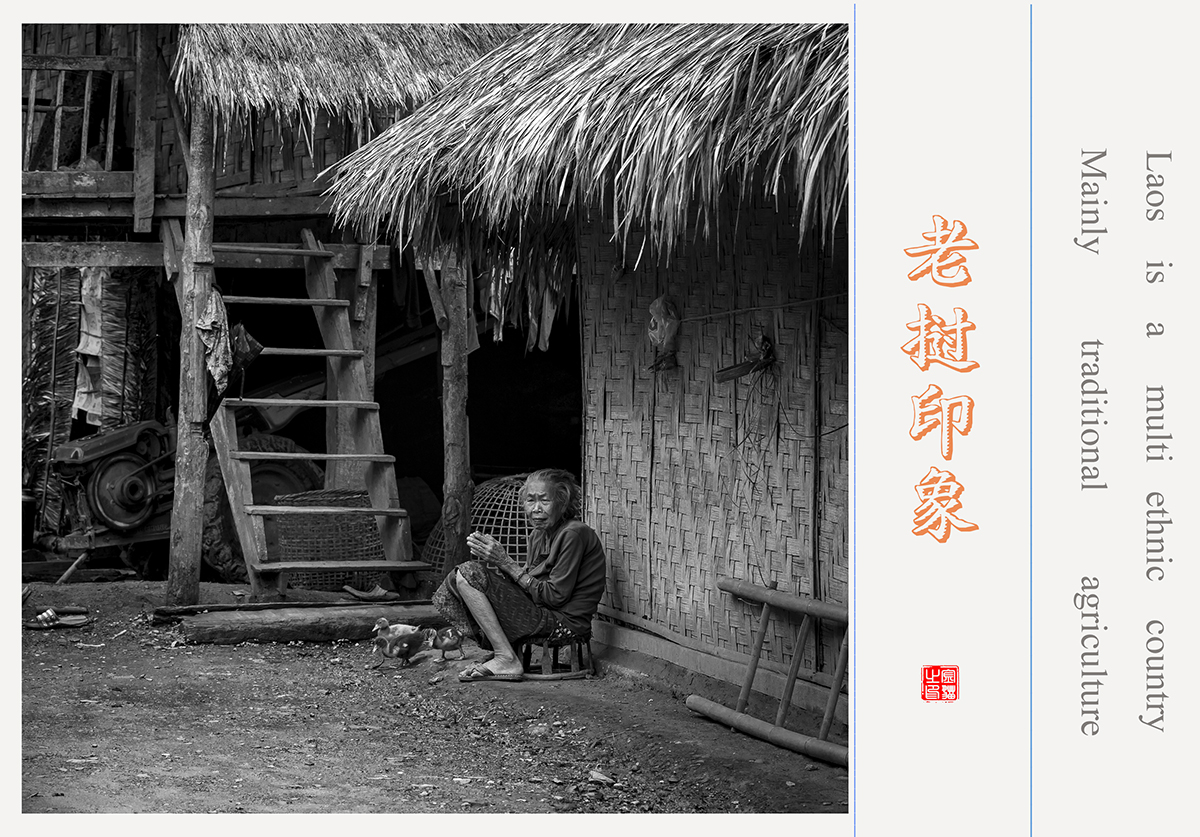 无题