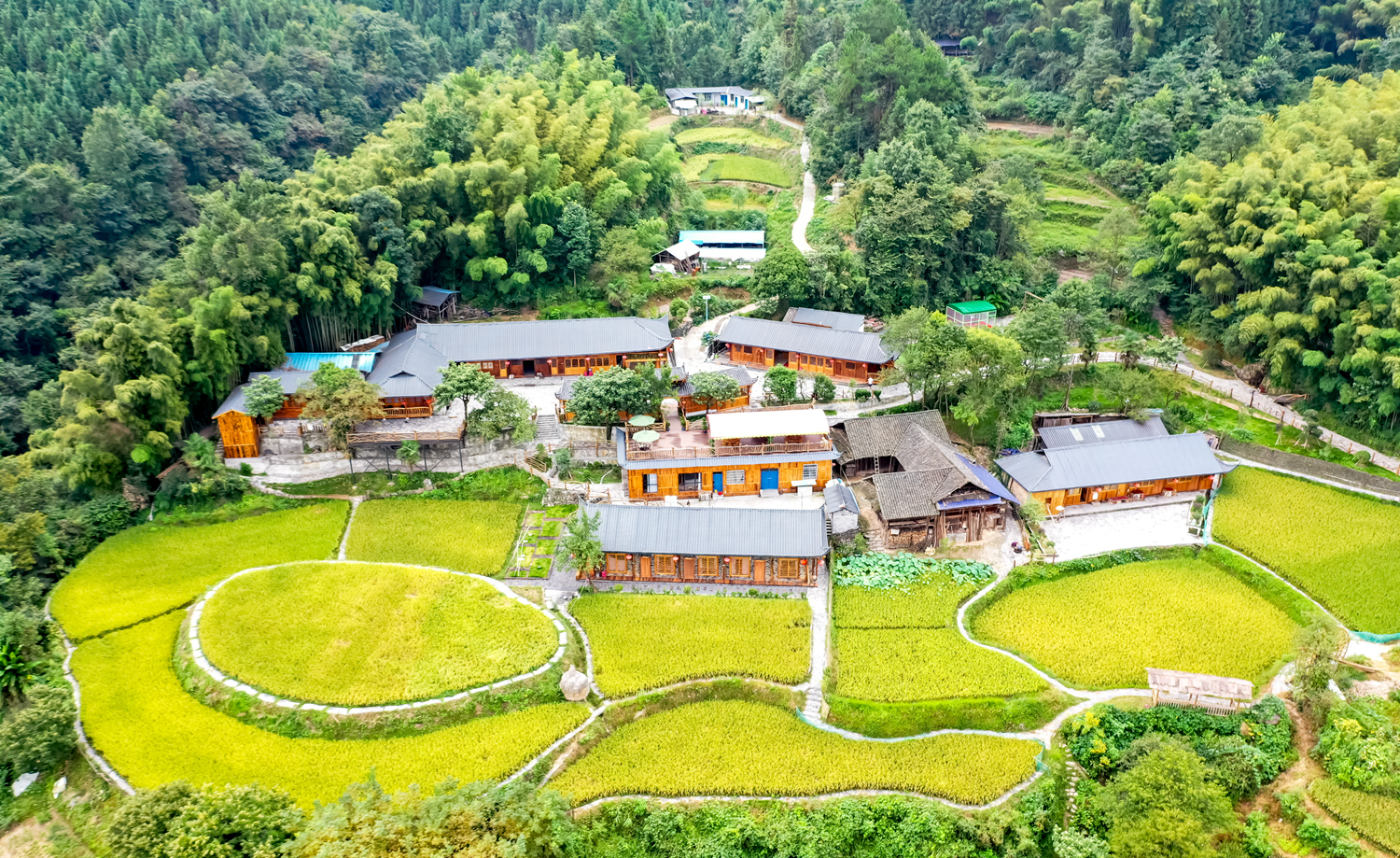 美丽的家园