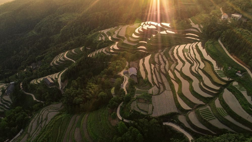霞照梯田