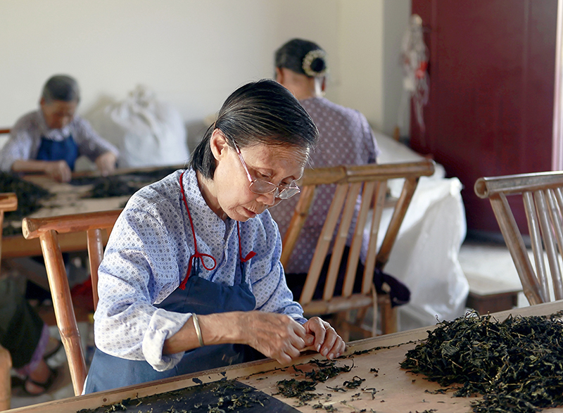 挑茶梗