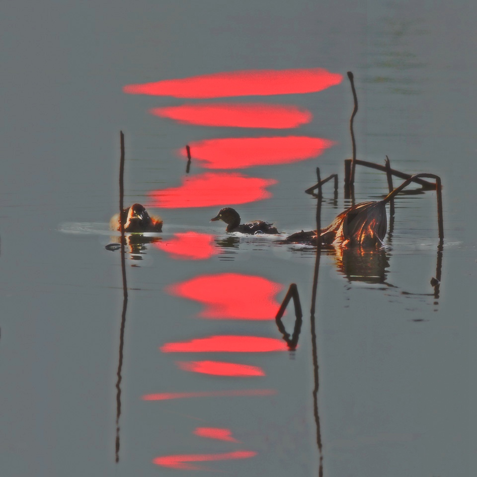 秋色入画