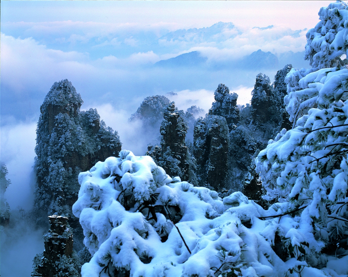 雪染的风采