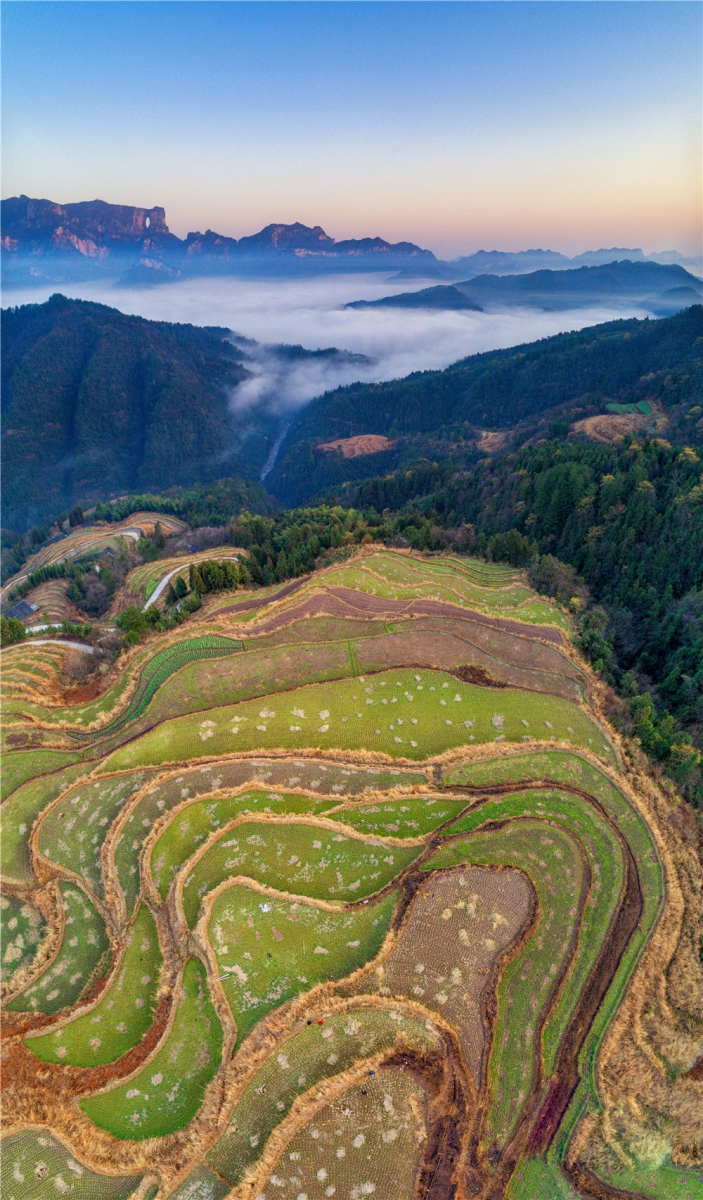云守