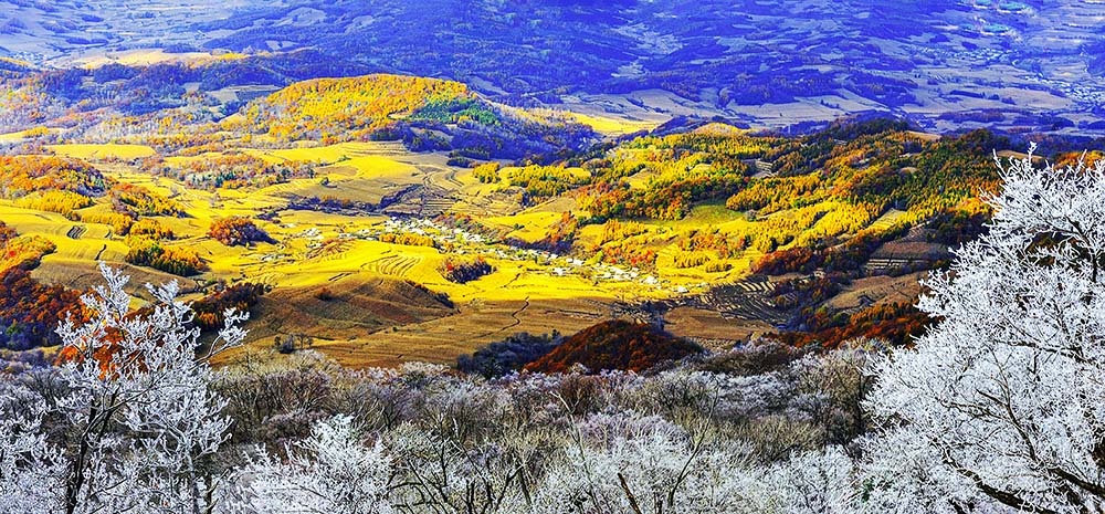 绿水青山就是金山银山