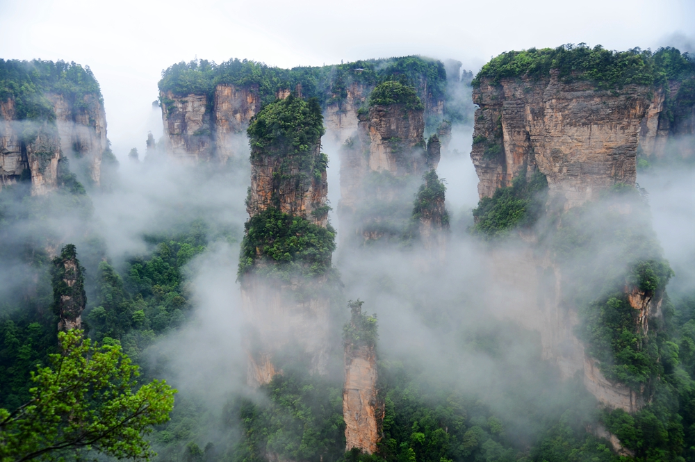 袁家界仙景