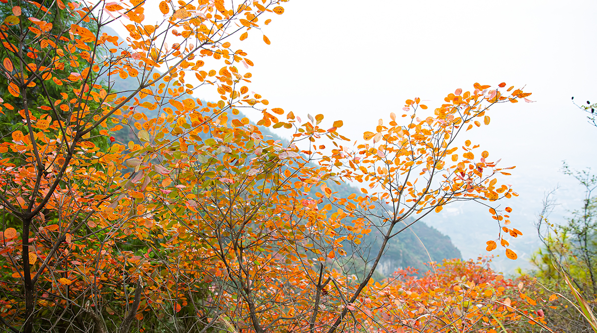 崇山3