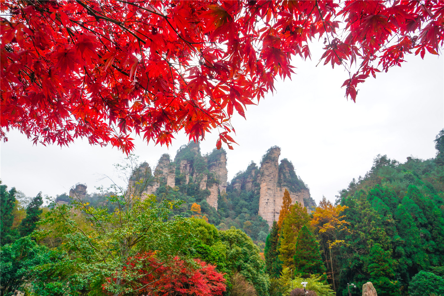 风景这边独好