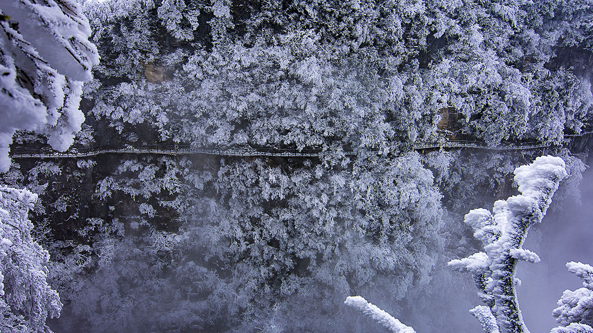 雪中栈道