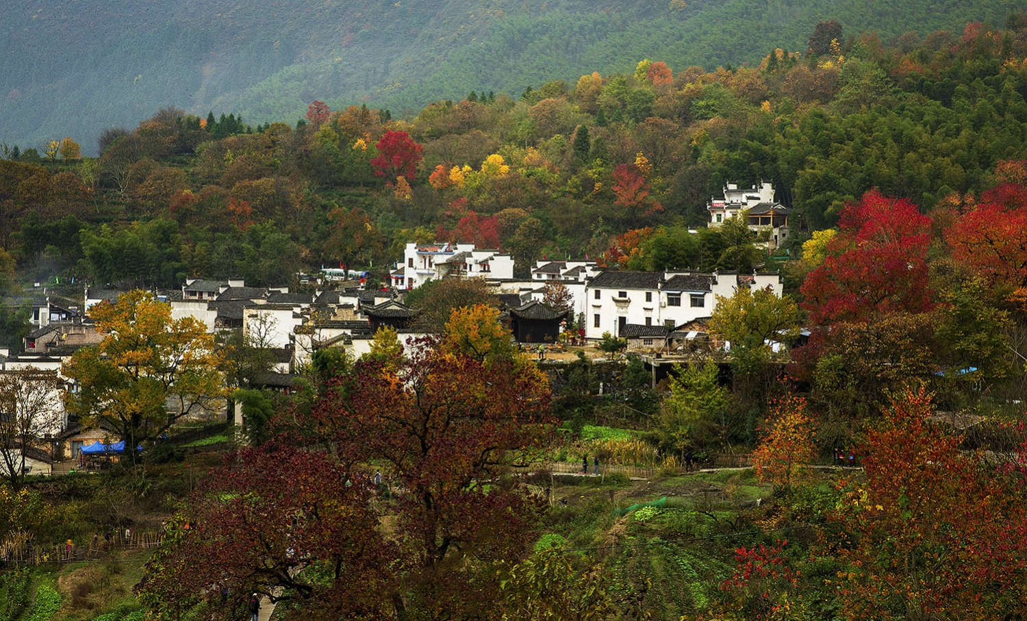 塔  川