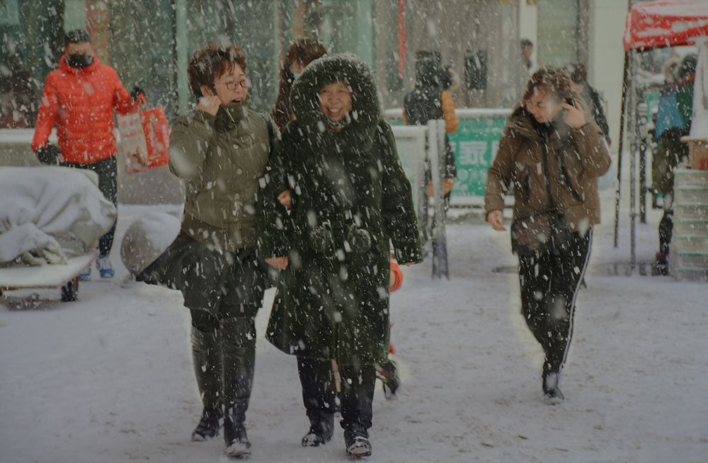 匆匆雪中行