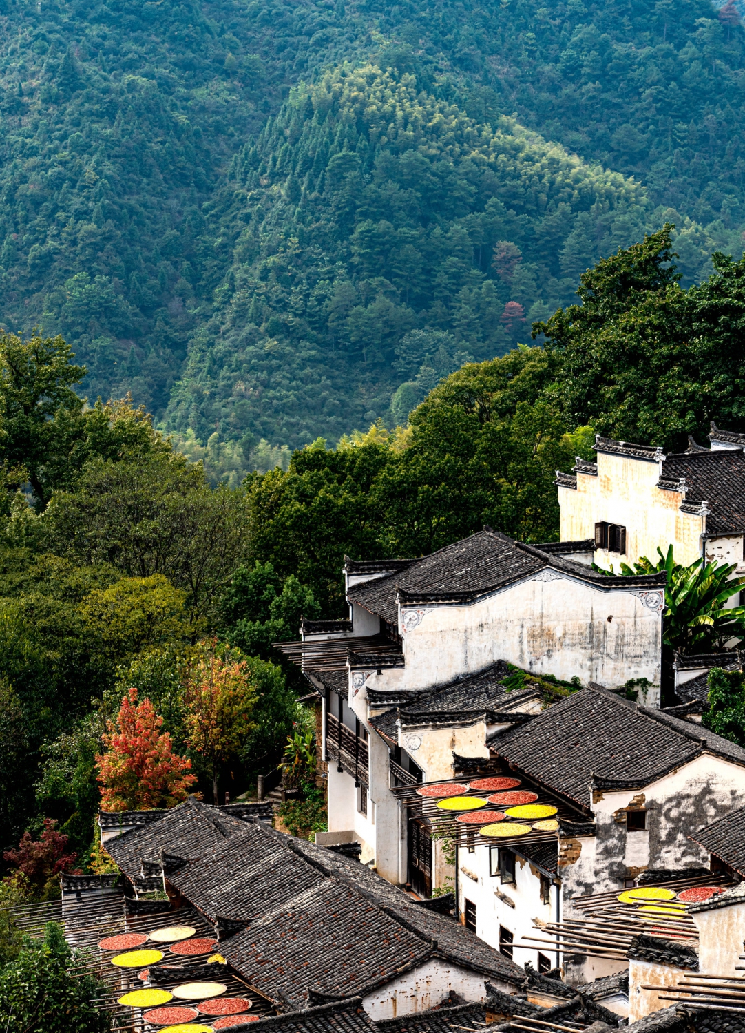 山村