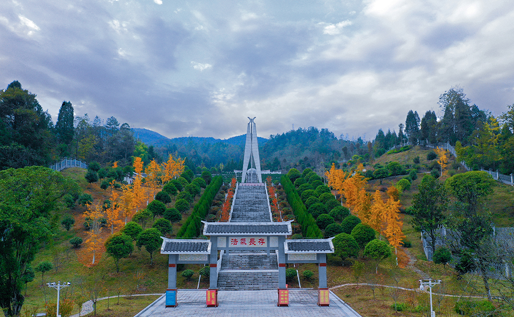 青山埋忠骨