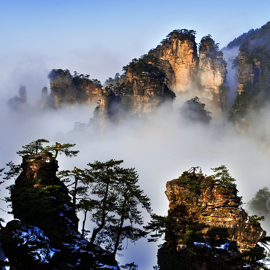 后花园