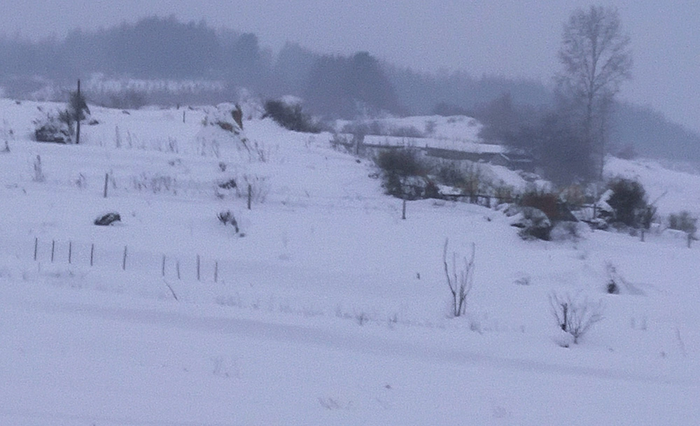 寒冬的雪村