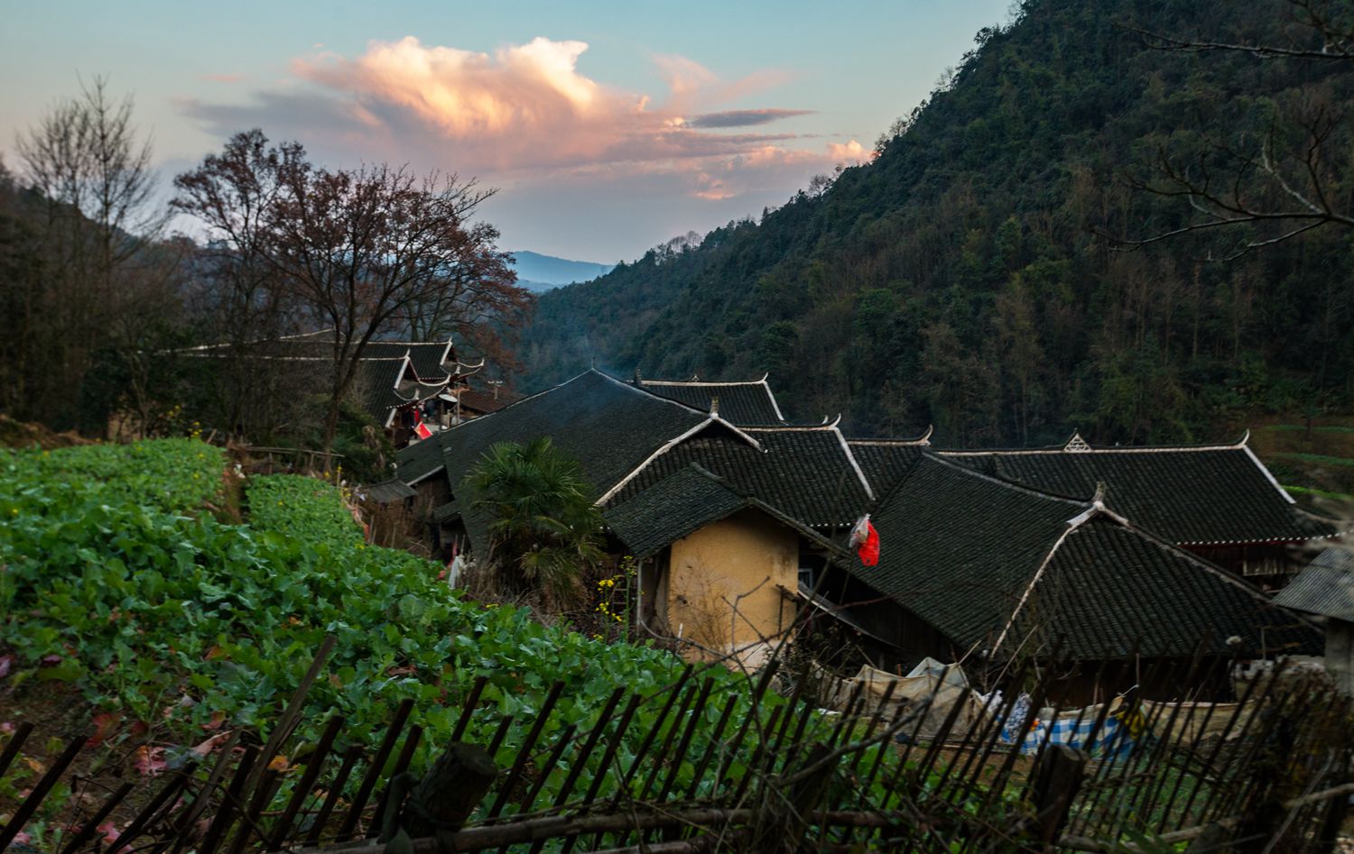 土家老院