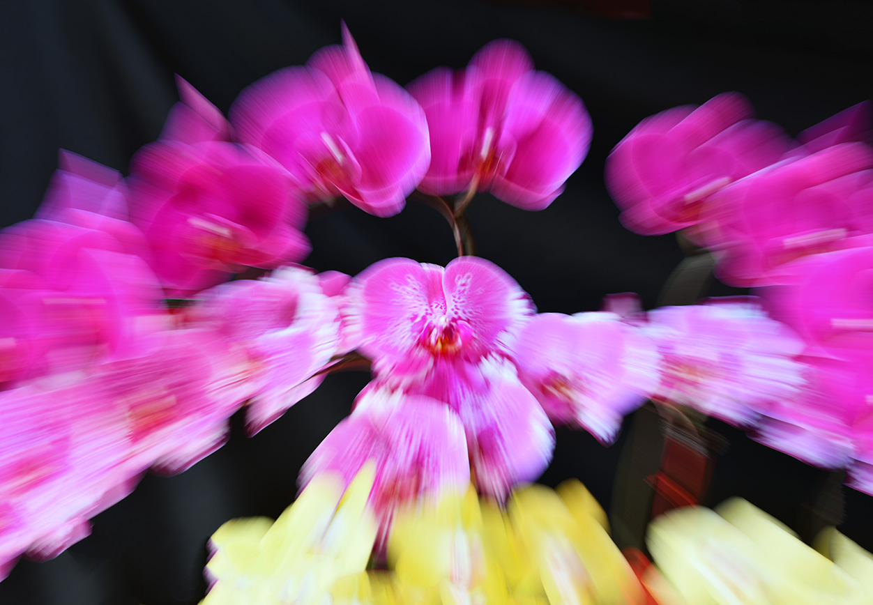 花卉