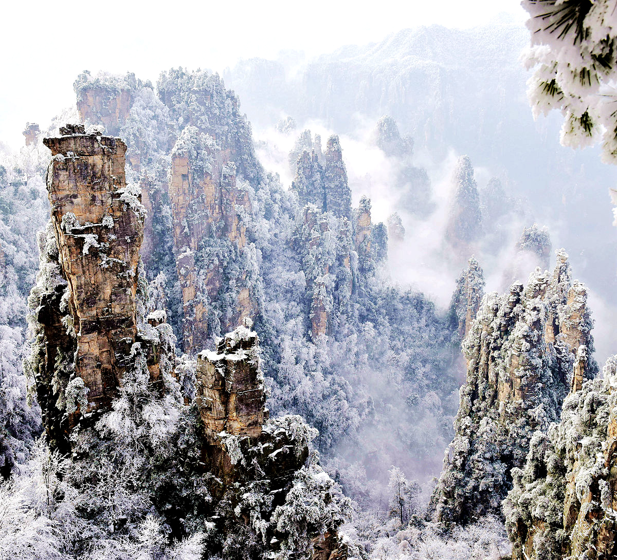 天子山.雪