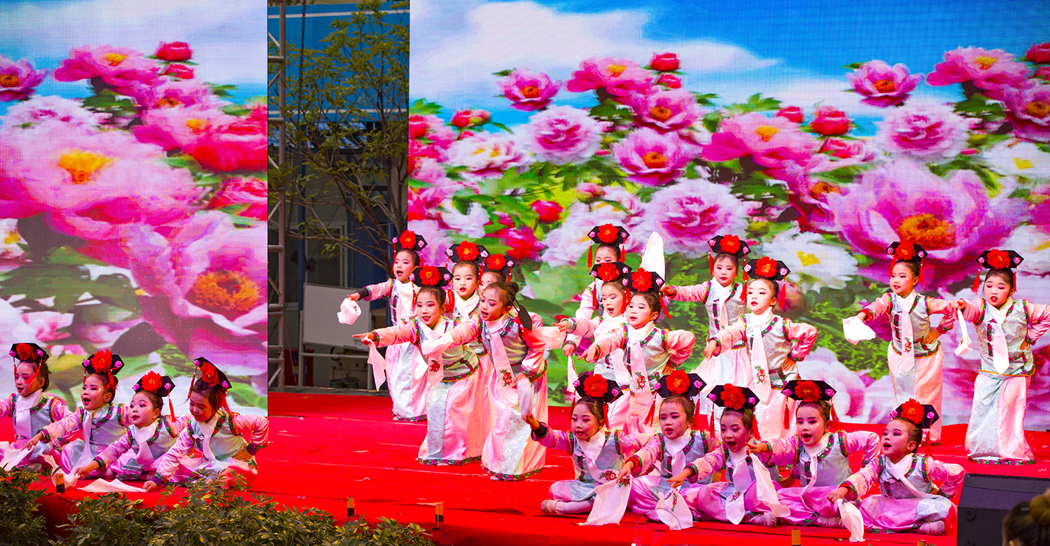 祖国的花朵