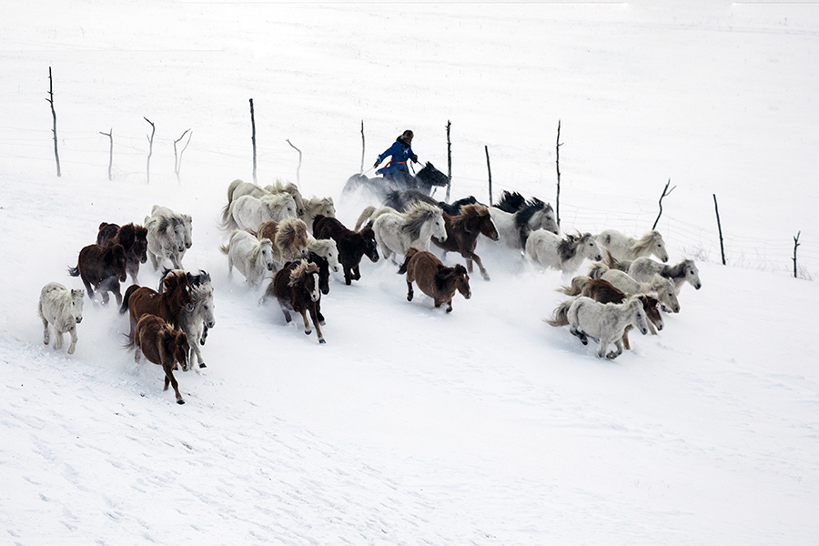 骏马冲雪