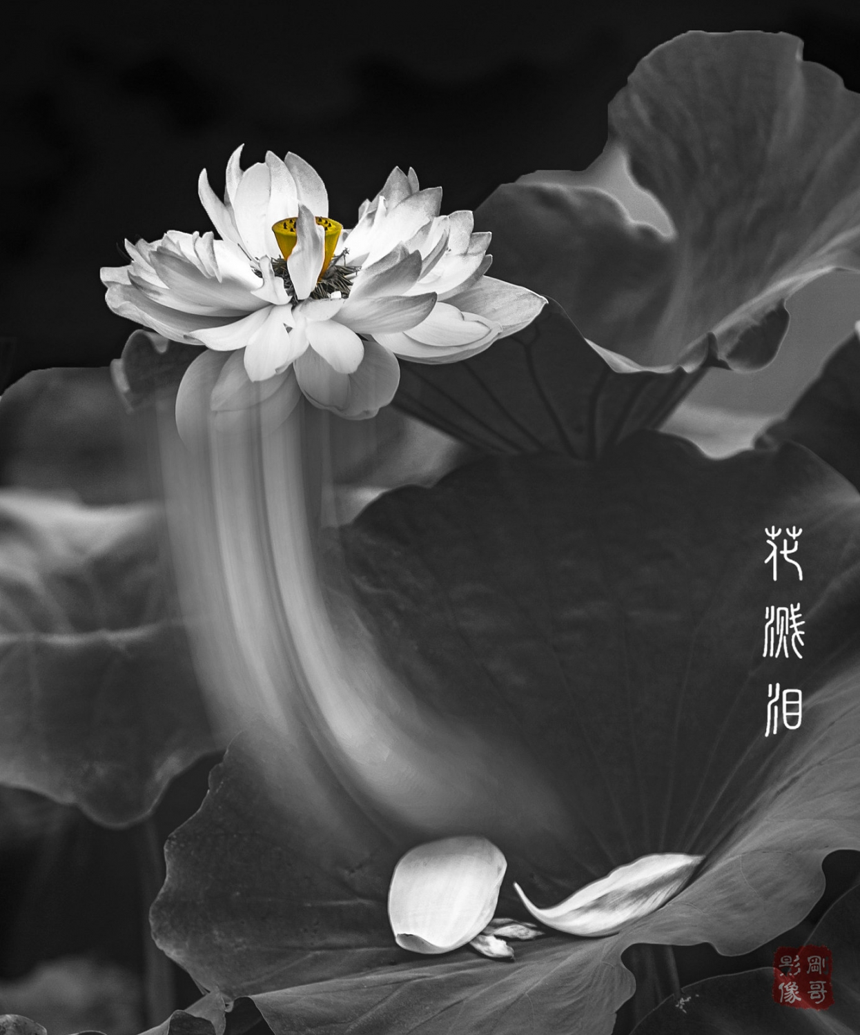 花溅泪
