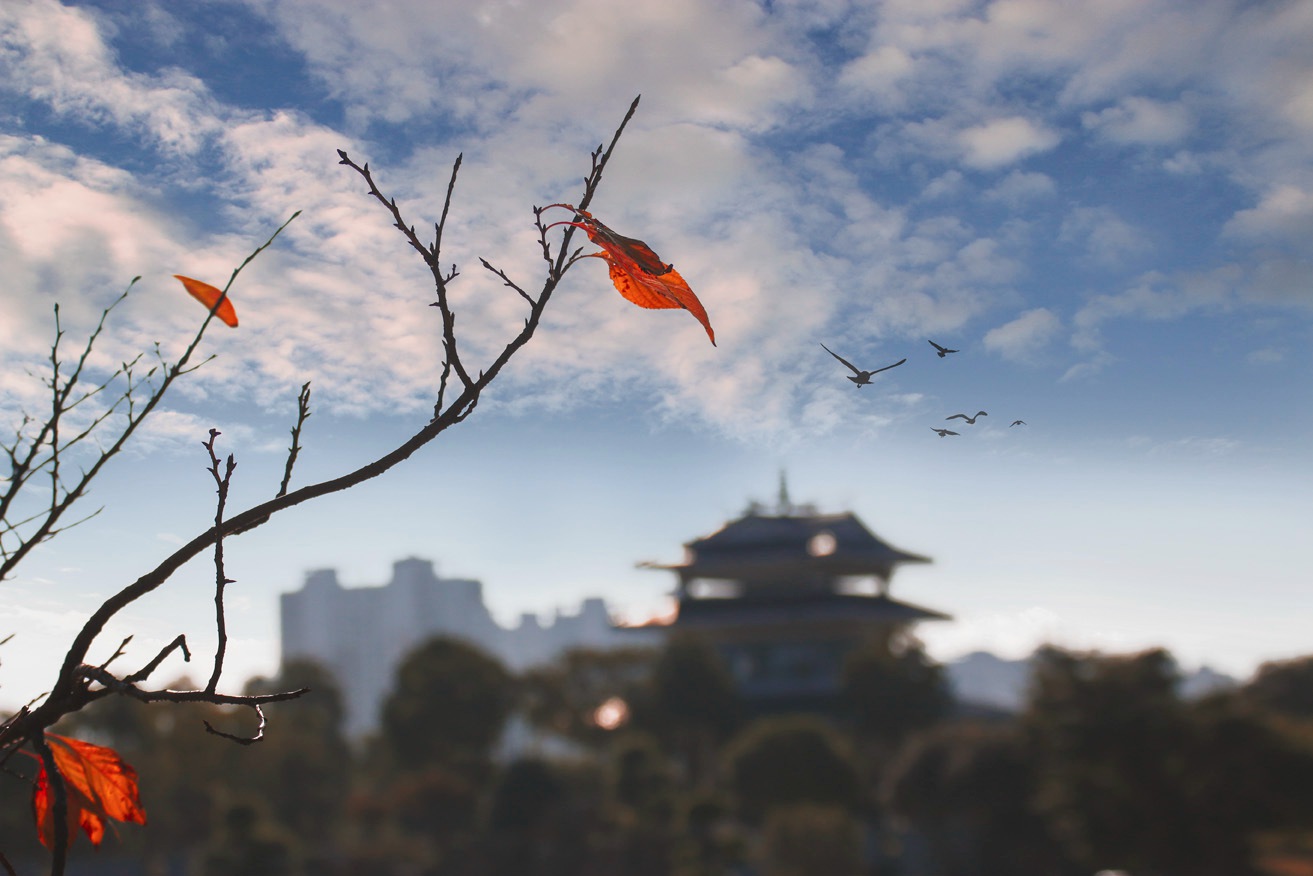 无那天边的云 题