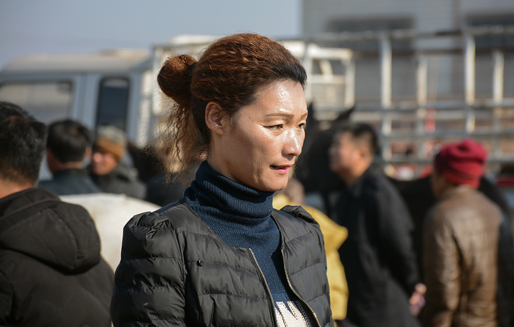 乡村骡马交易市场的女人