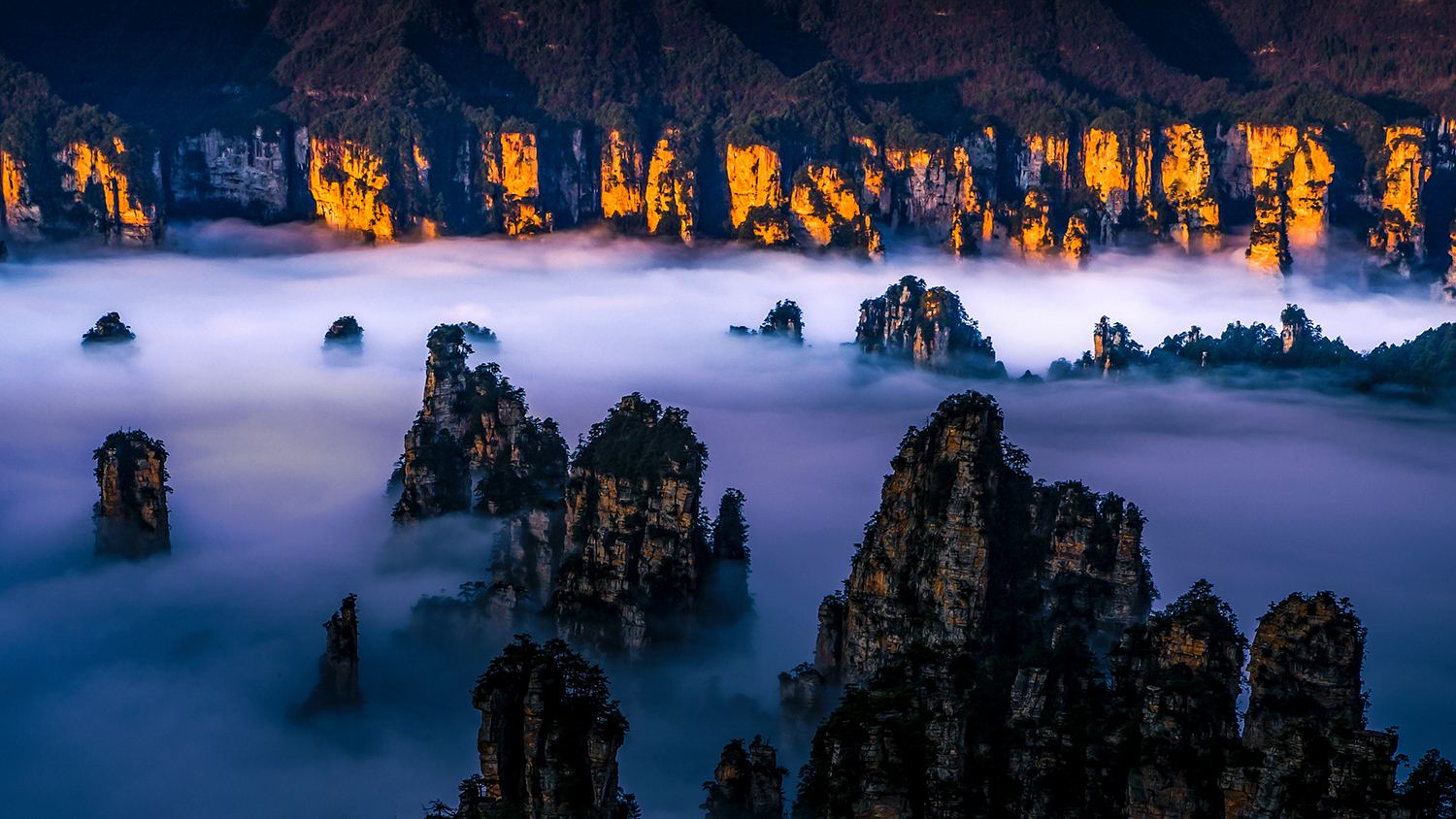 天子山.西海峰林
