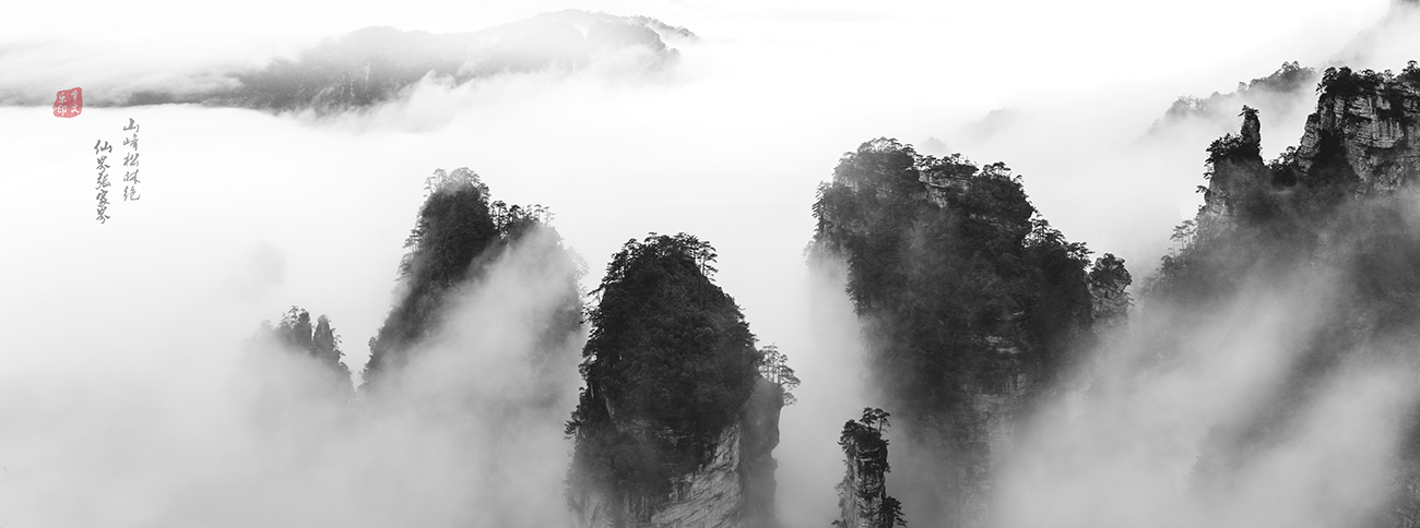 山峰松林绝，仙界张家界