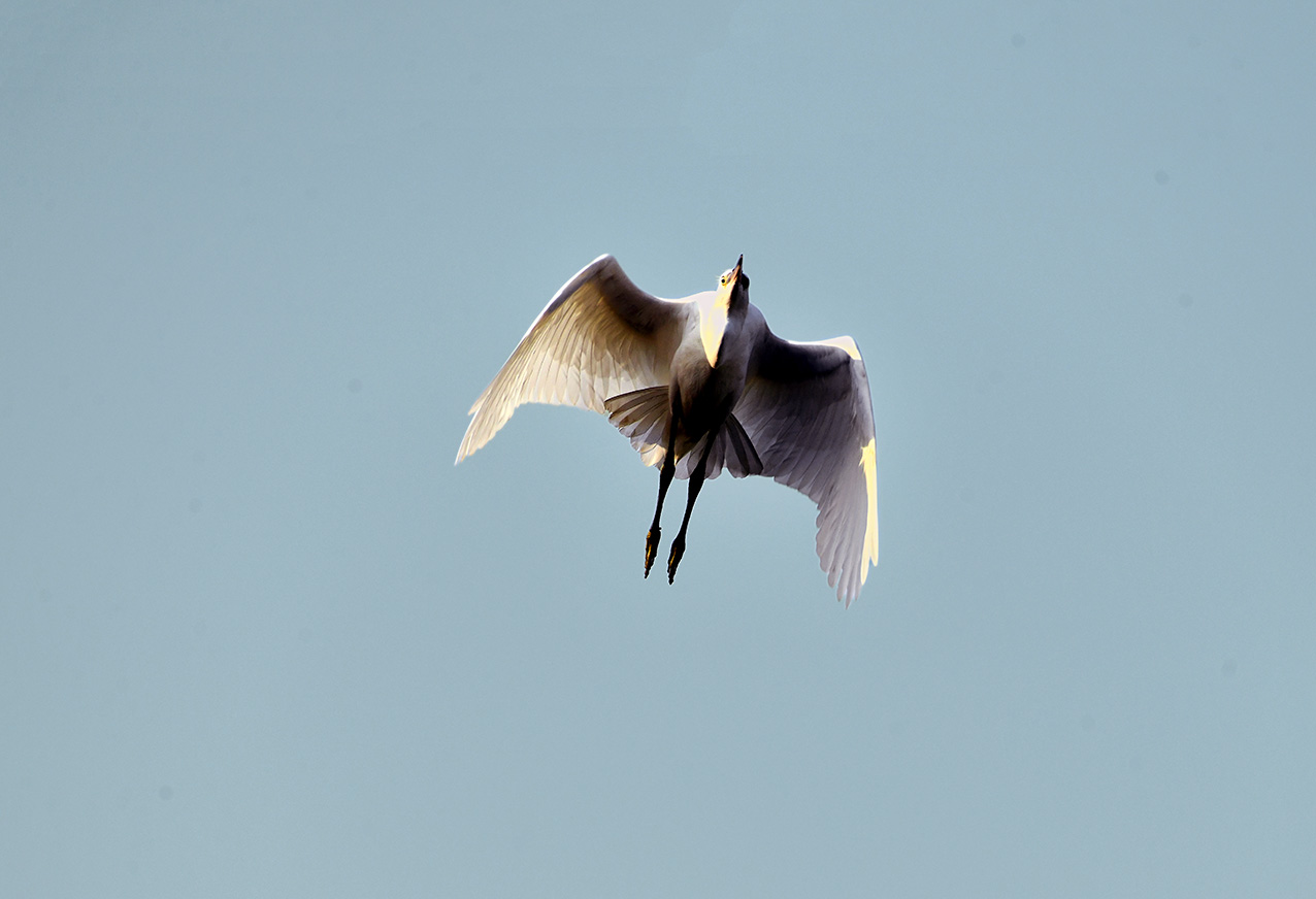 凌空