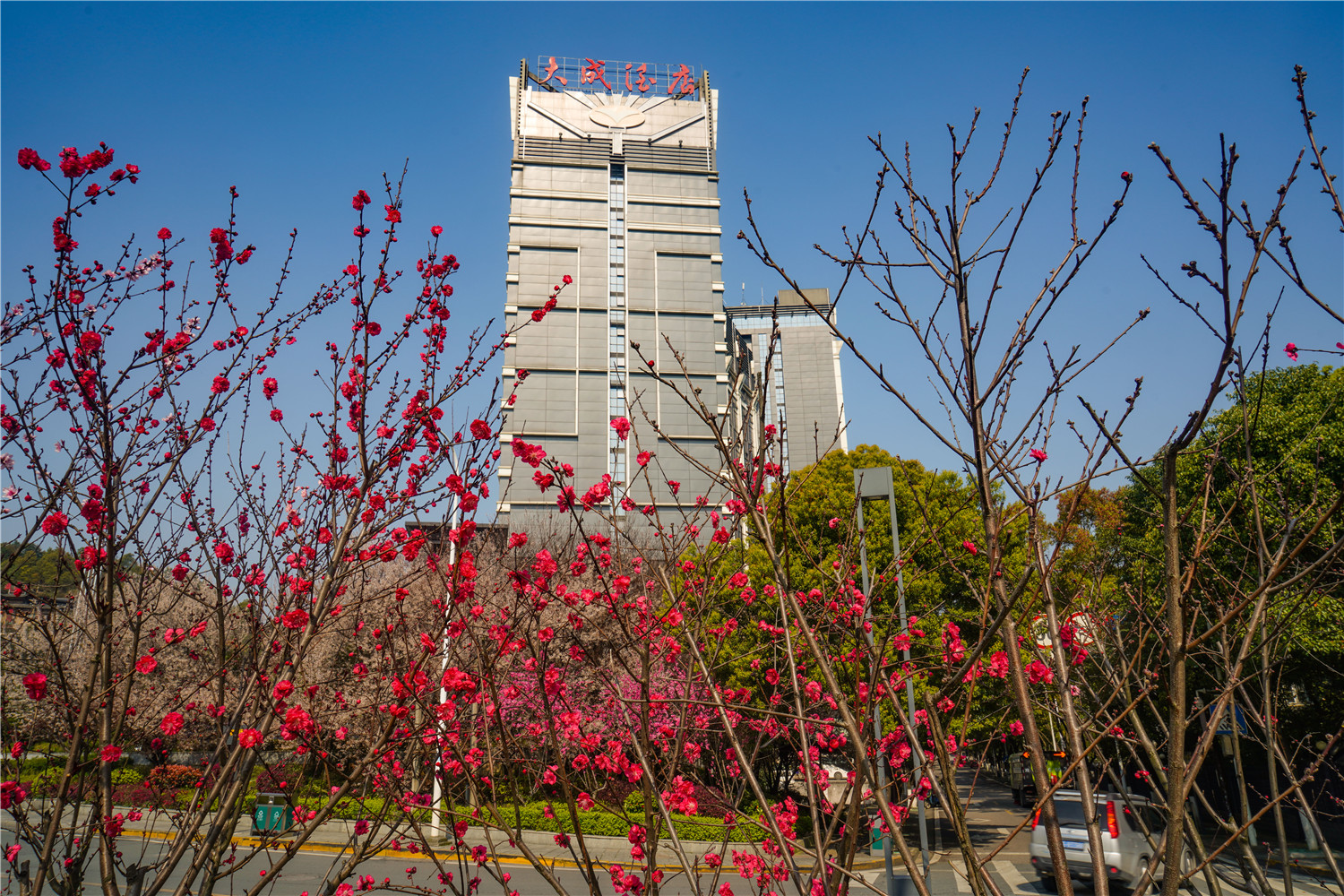 生态城市