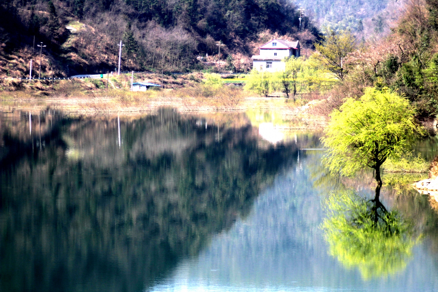 水中绿
