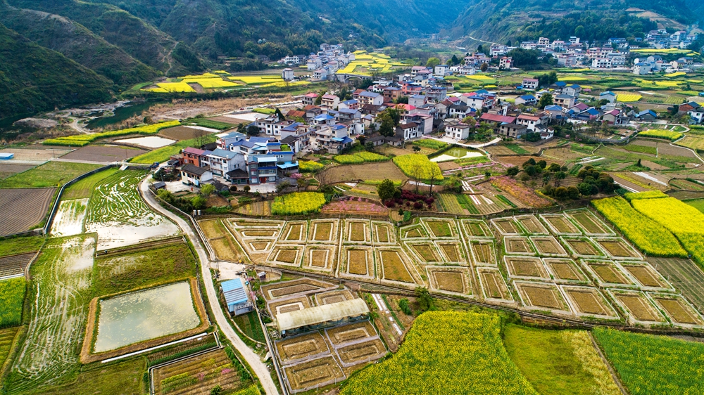 乡村春色