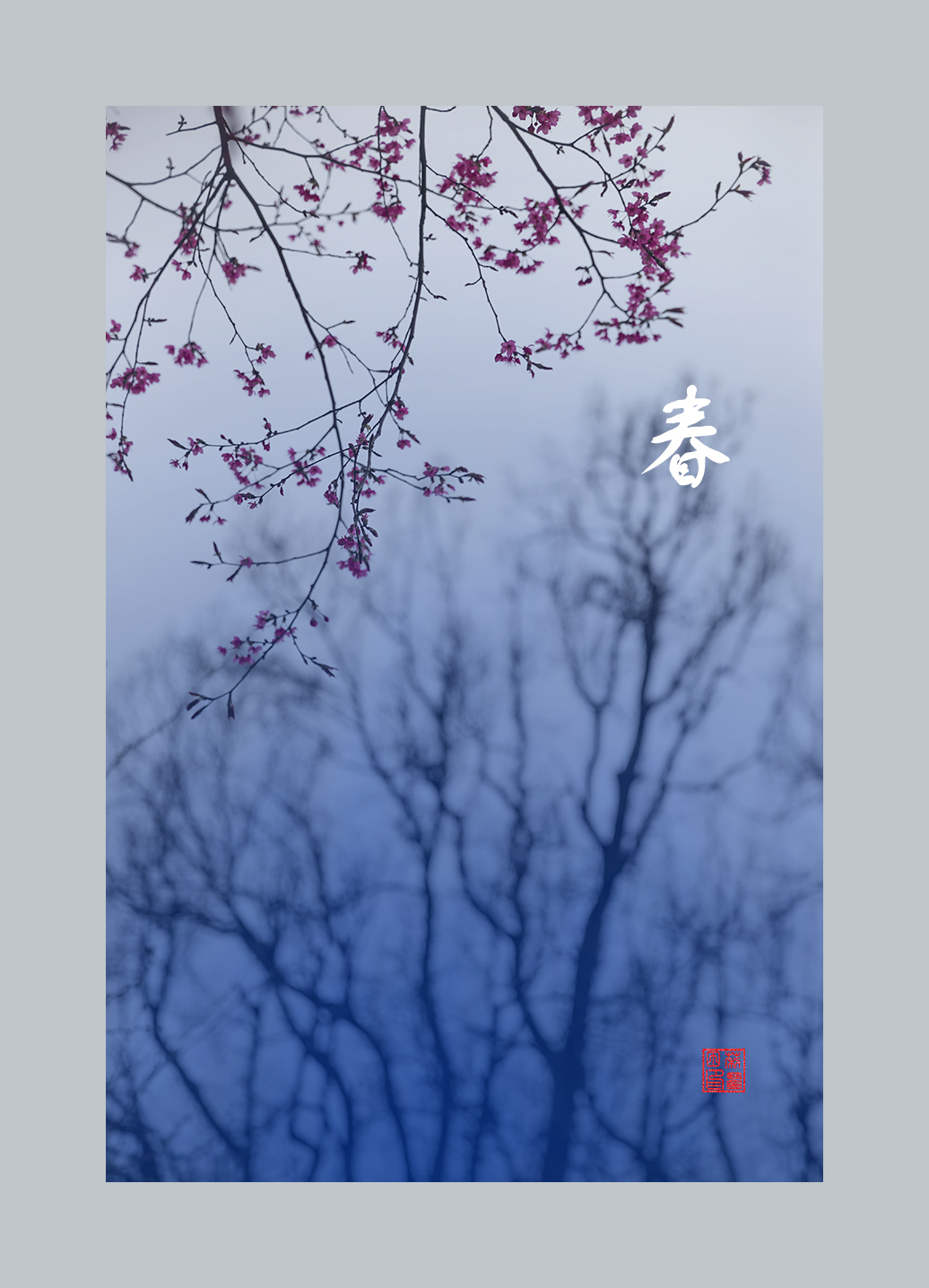 春