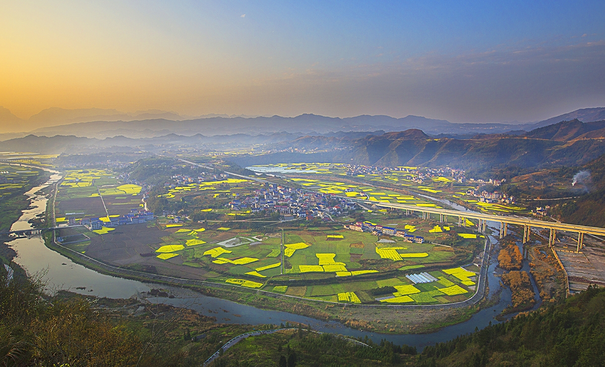 春色滿园